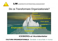 Dan Berinde - Transformarea culturii organizationale in domeniul sigurantei si securitatii muncii - O viziune LIM - HART Consulting