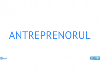 Eusebiu Burcas - Executives Selection and Induction within an Antreprenorial Organisation - HART Consulting