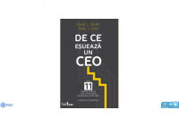 Eusebiu Burcas - Executives Selection and Induction within an Antreprenorial Organisation - HART Consulting