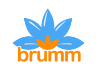 BRUMM Consult