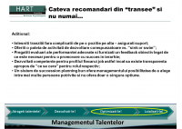 Amalia Sterescu - Succession planning: what is next after the theory - HART Consulting