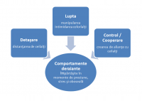 Cum dezvoltam echipe eficiente - HART Consulting