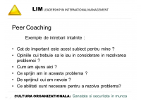 Dan Berinde - Transformarea culturii organizationale in domeniul sigurantei si securitatii muncii - O viziune LIM - HART Consulting