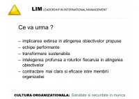 Dan Berinde - Transformarea culturii organizationale in domeniul sigurantei si securitatii muncii - O viziune LIM - HART Consulting