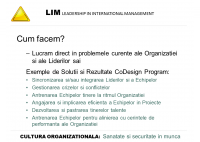 Dan Berinde - Transformarea culturii organizationale in domeniul sigurantei si securitatii muncii - O viziune LIM - HART Consulting