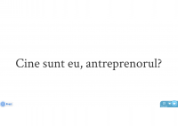 Eusebiu Burcas - Executives Selection and Induction within an Antreprenorial Organisation - HART Consulting