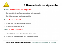 Madalina Balan - Diagnoza personalitatii angajatilor: predictor pentru rata de incidente/accidente la locul de munca - HART Consulting