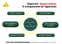 Madalina Balan - Diagnoza personalitatii angajatilor: predictor pentru rata de incidente/accidente la locul de munca - HART Consulting