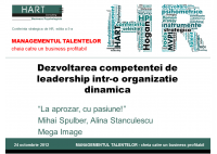 Mihai Spulber - Dezvoltarea competentei de leadership intr-o organizatie dinamica - HART Consulting