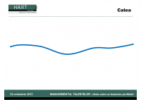 Mihai Spulber - Leadership competency development in a dynamic organization - HART Consulting