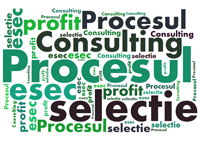 Procesul de selectie - intre profit si esec - HART Consulting