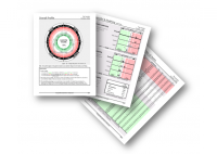 Leadership Versatility Index - HART Consulting